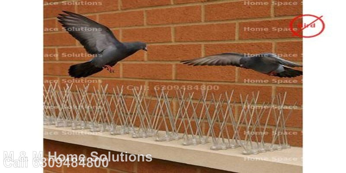 Anti Bird Spikes